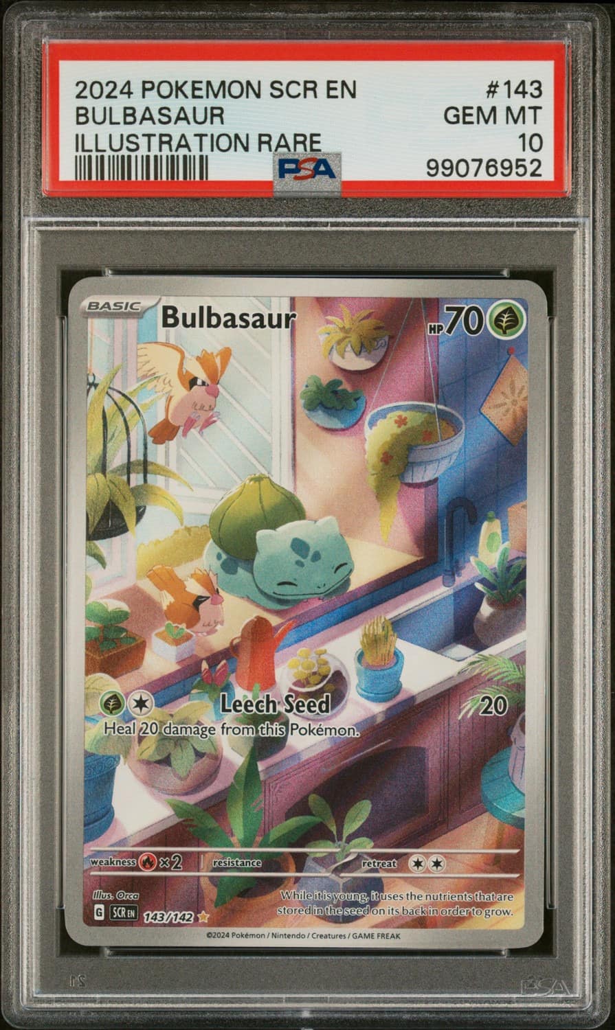 Bulbasaur