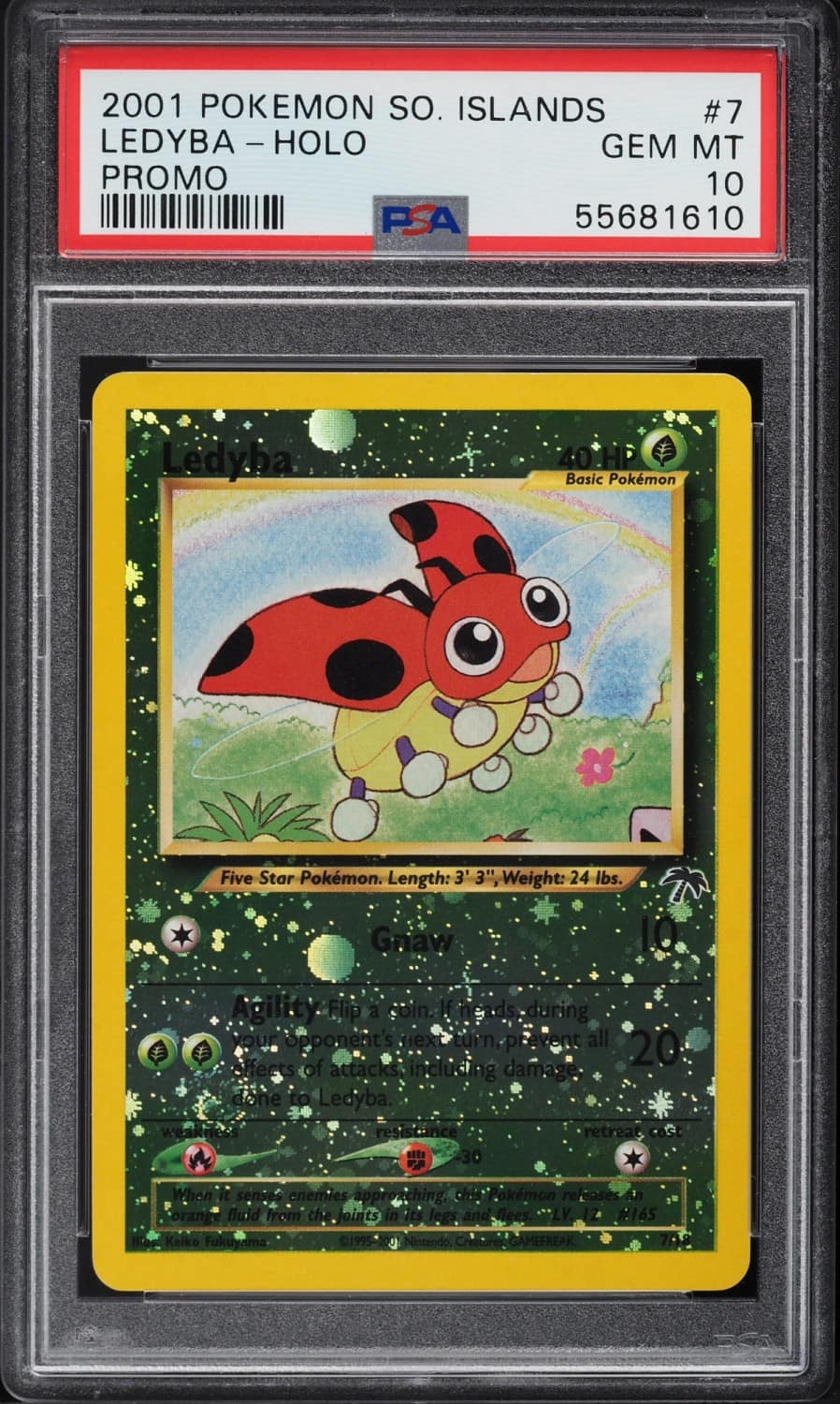 Ledyba