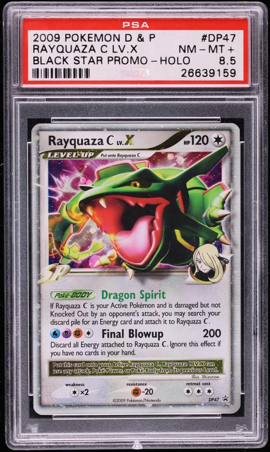Rayquaza C Lv X