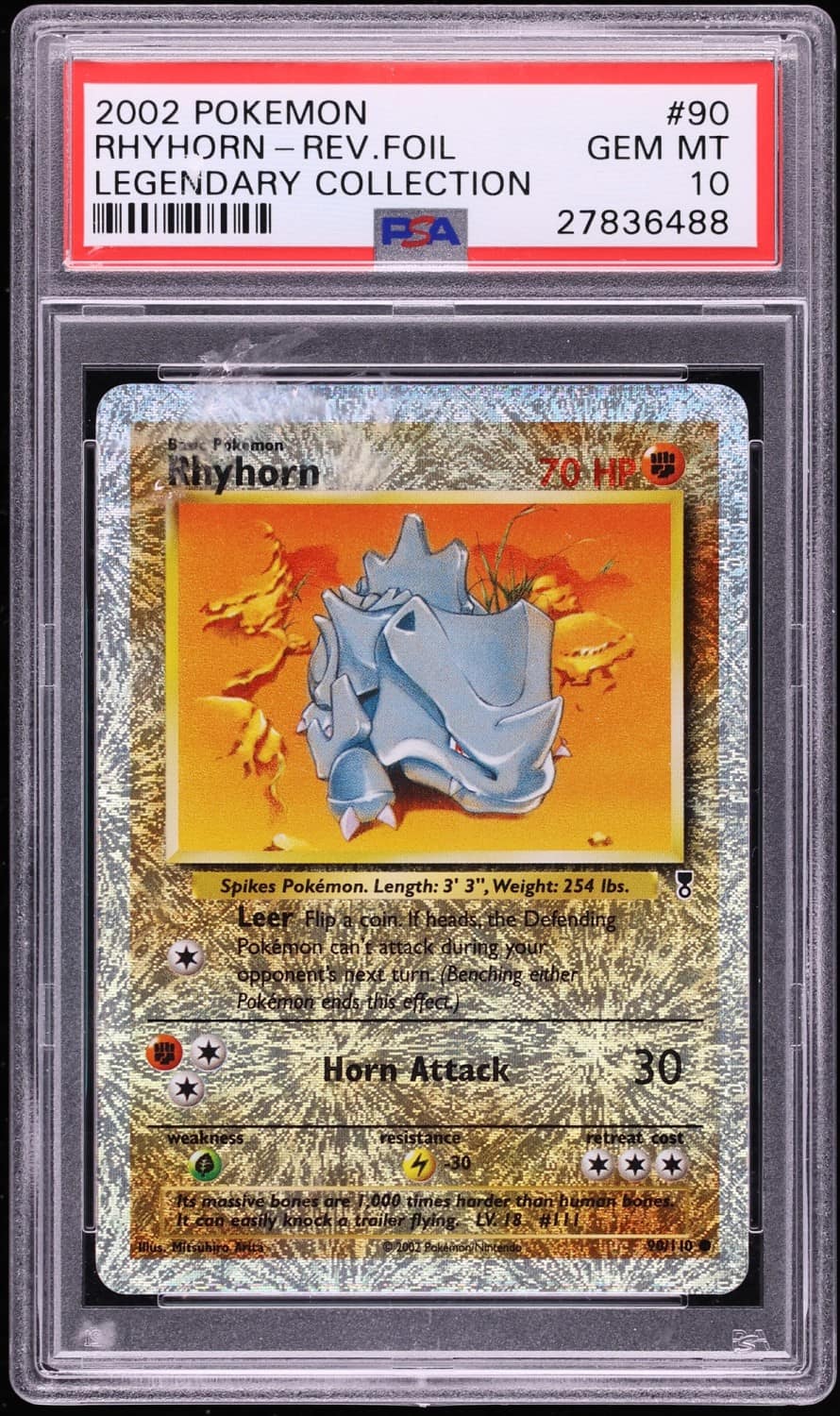 Rhyhorn
