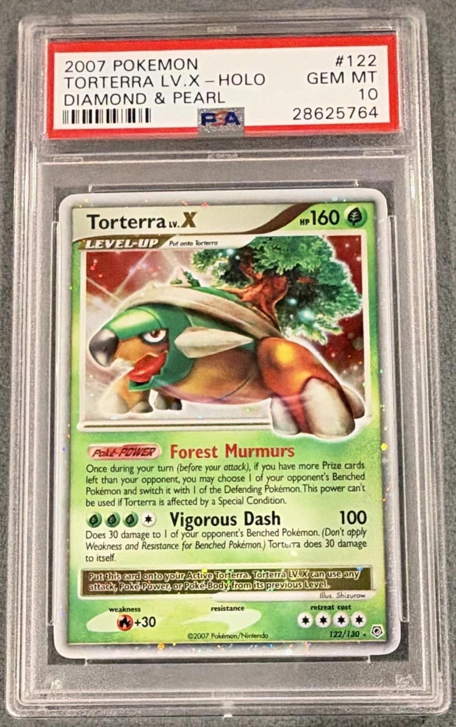 Torterra Lv X
