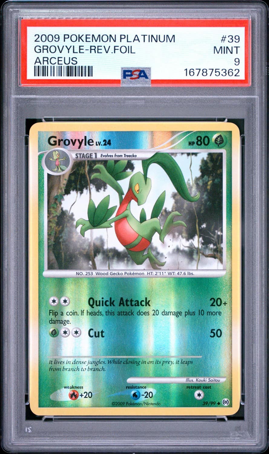 Grovyle