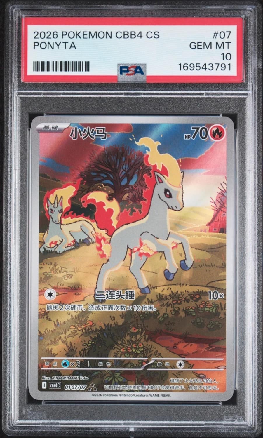 Ponyta
