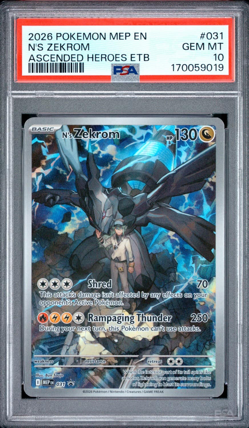 N'S Zekrom