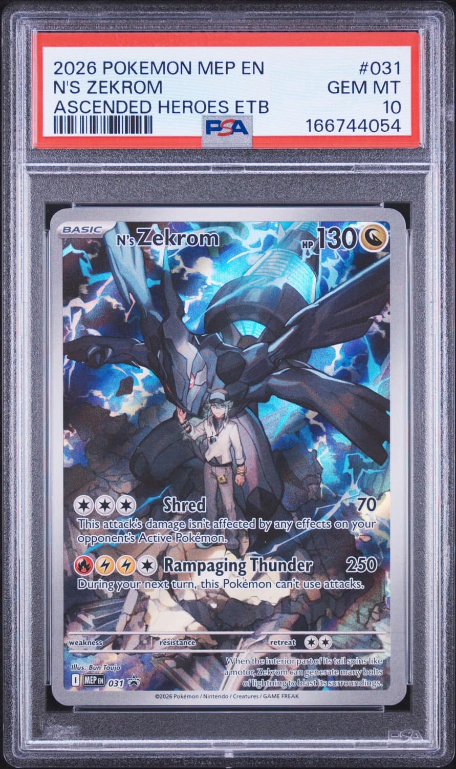N'S Zekrom