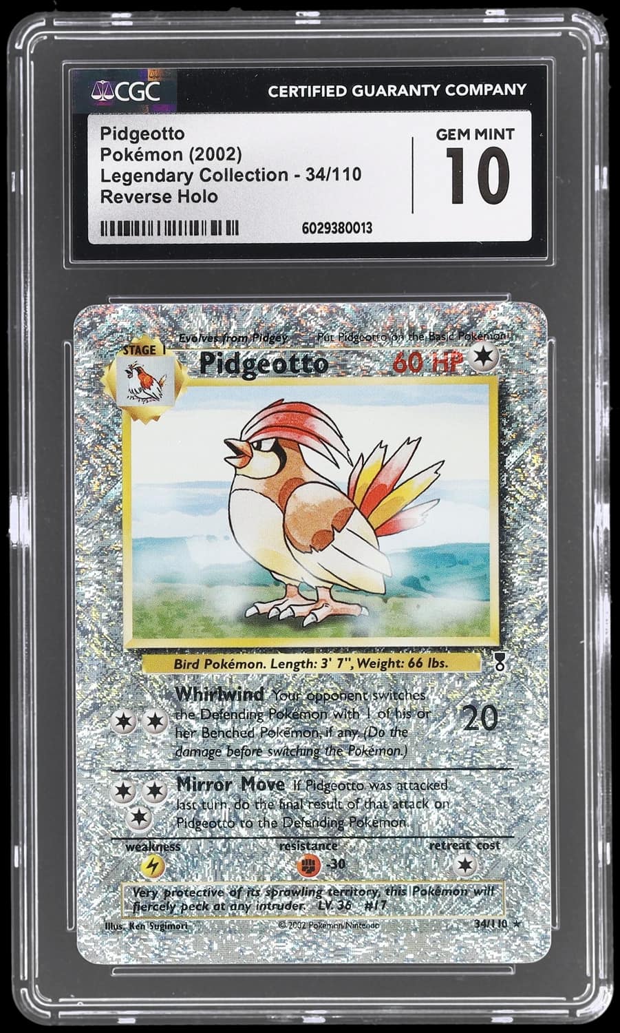 Pidgeotto