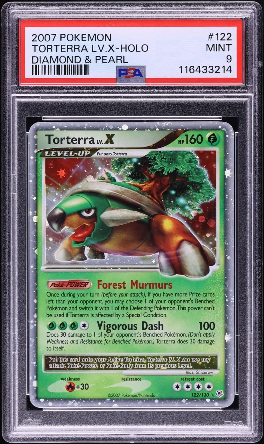 Torterra Lv X