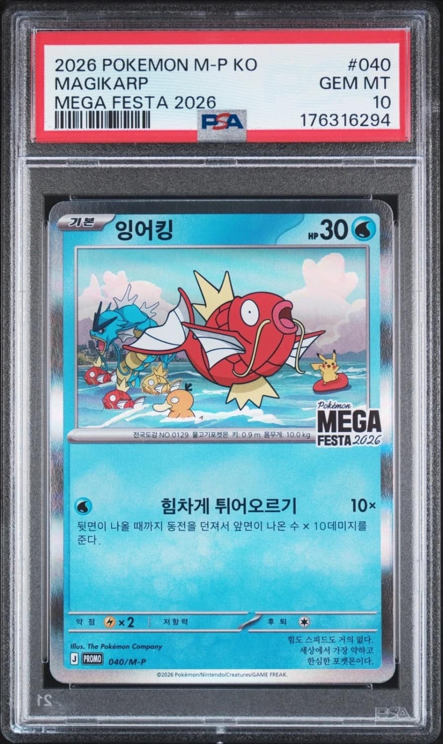 Magikarp