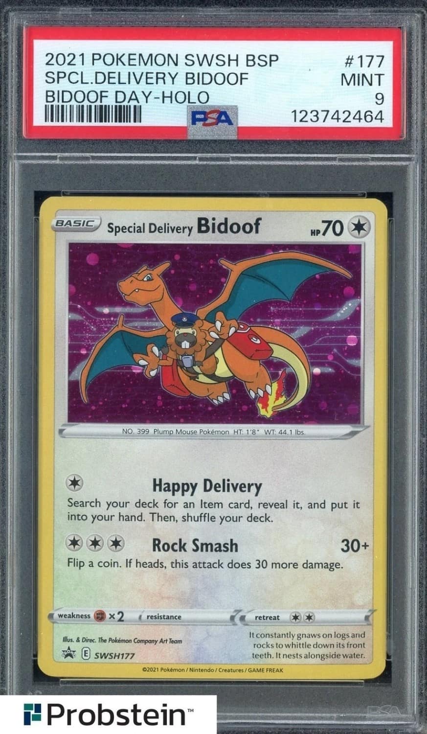Special Delivery Bidoof