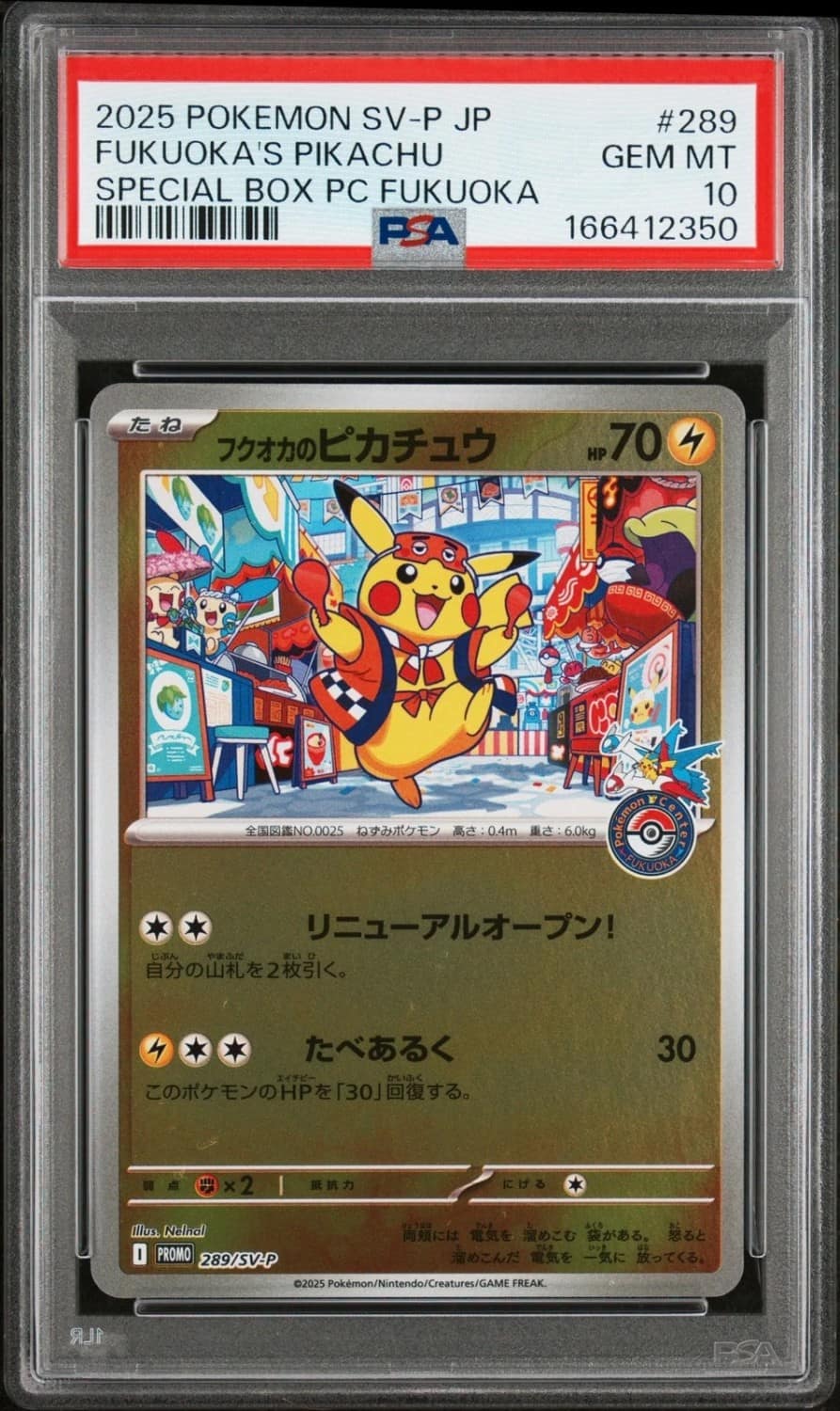 Fukuoka'S Pikachu