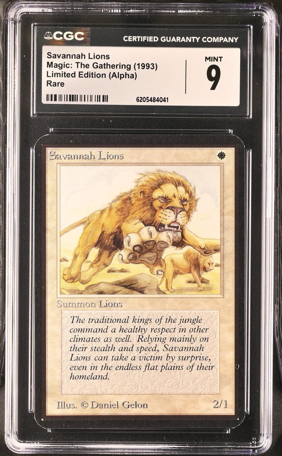 Savannah Lions