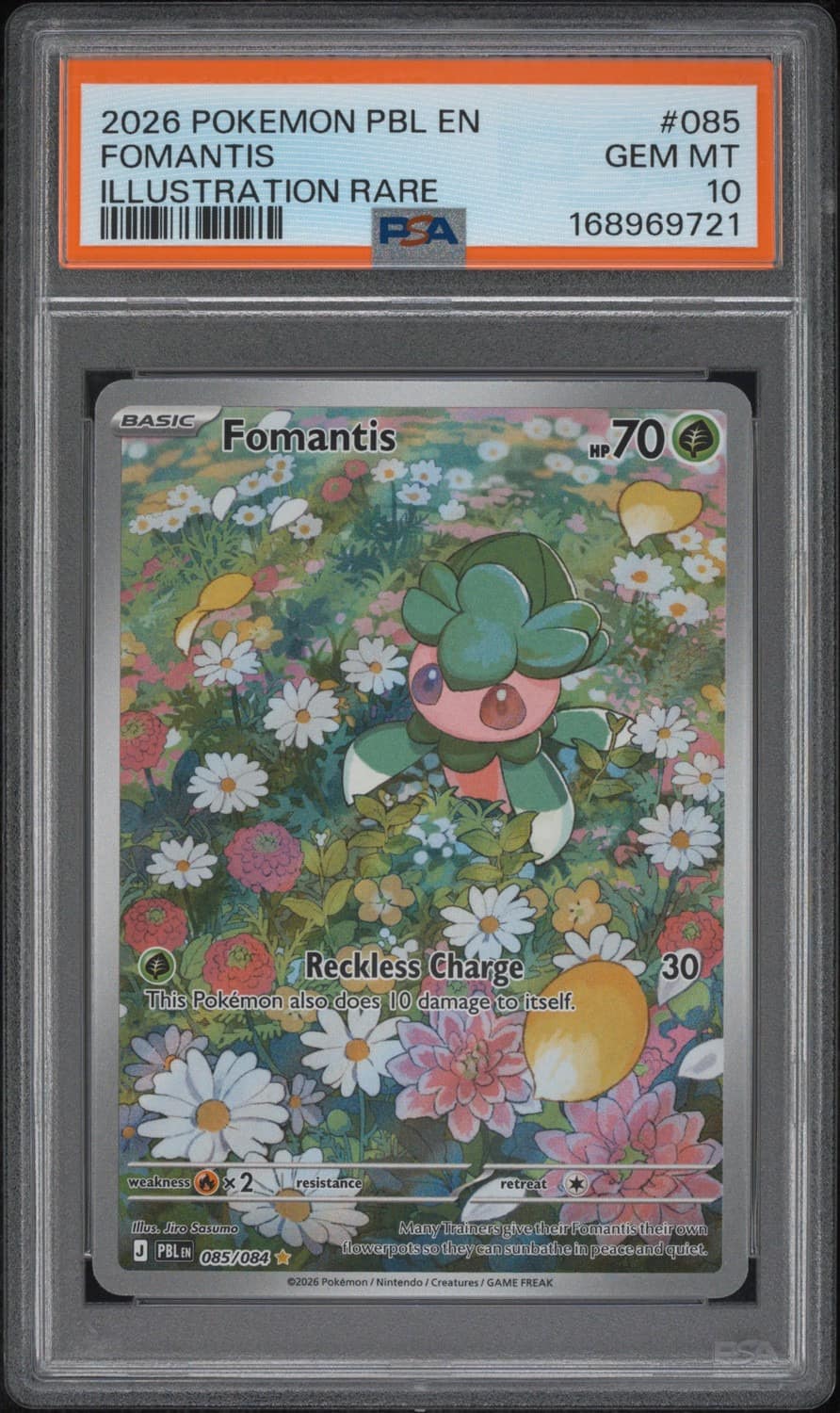 Fomantis