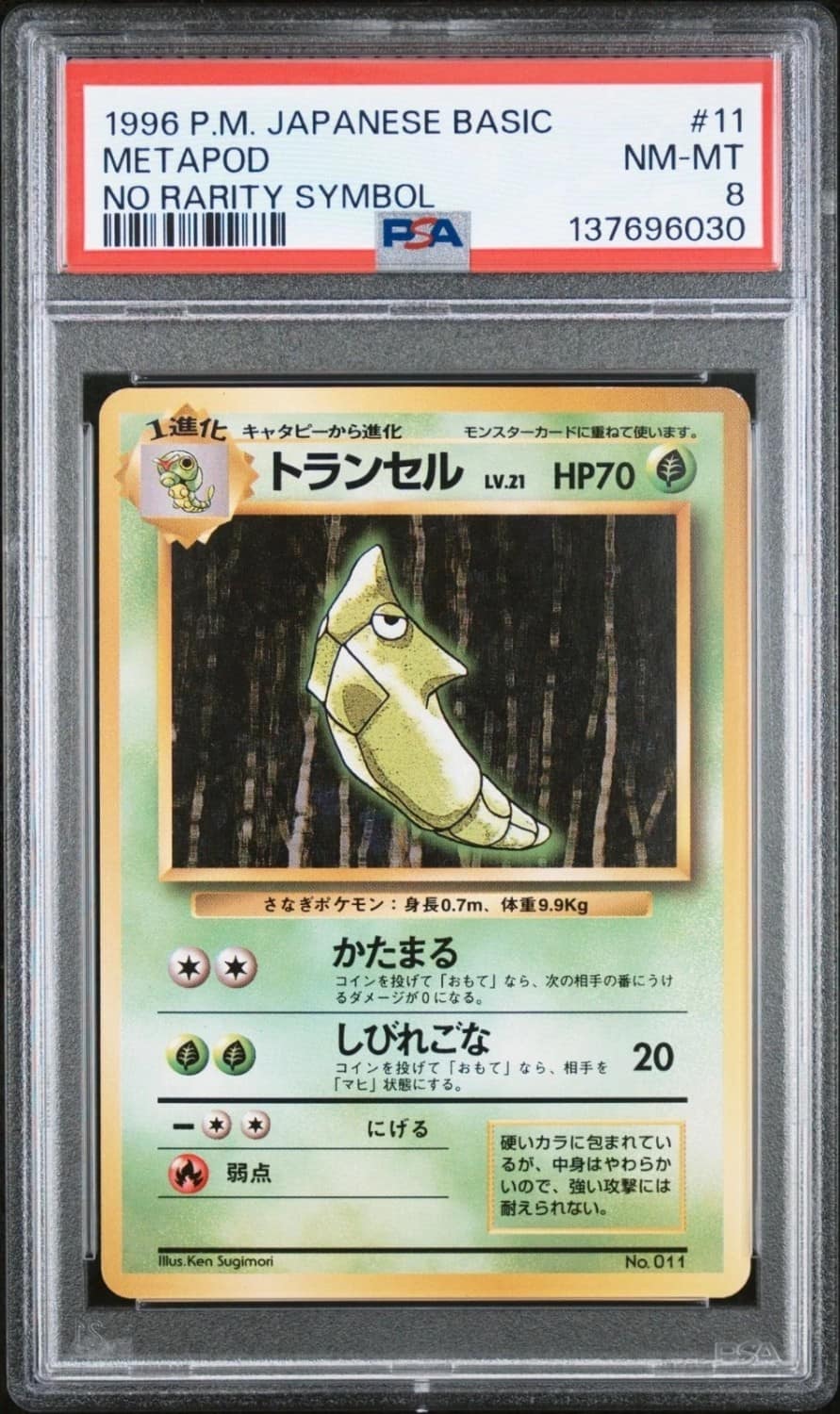 Metapod