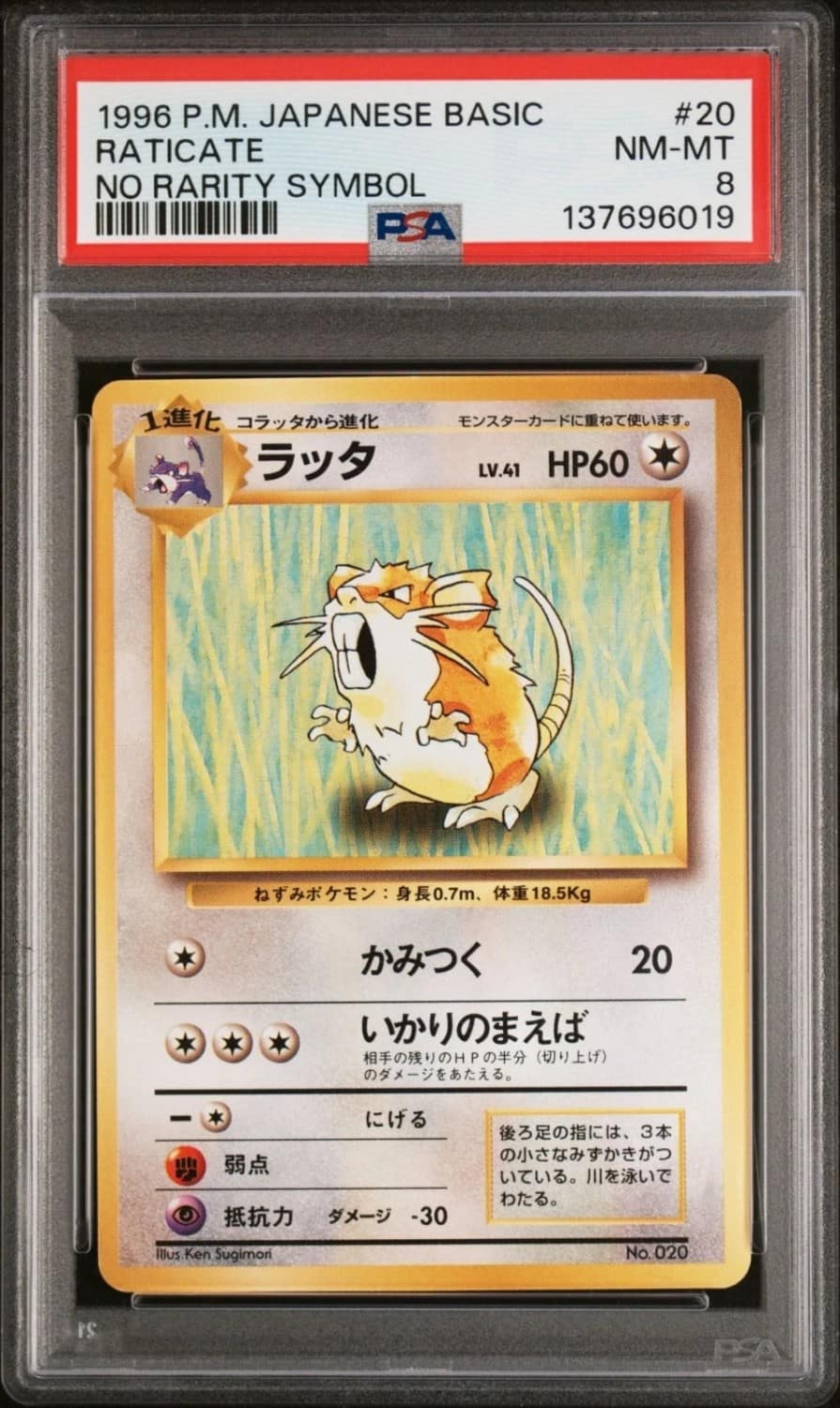 Raticate