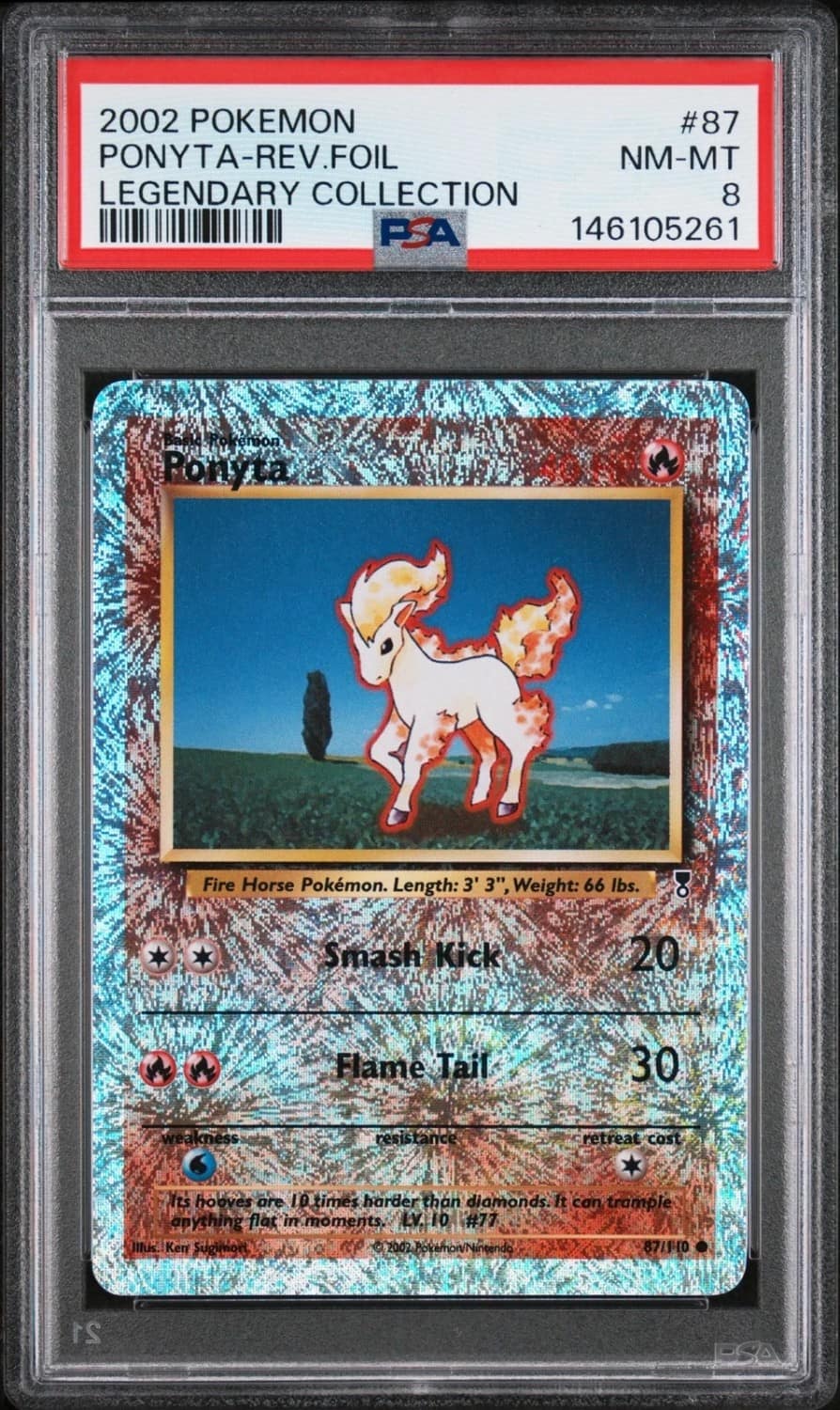 Ponyta