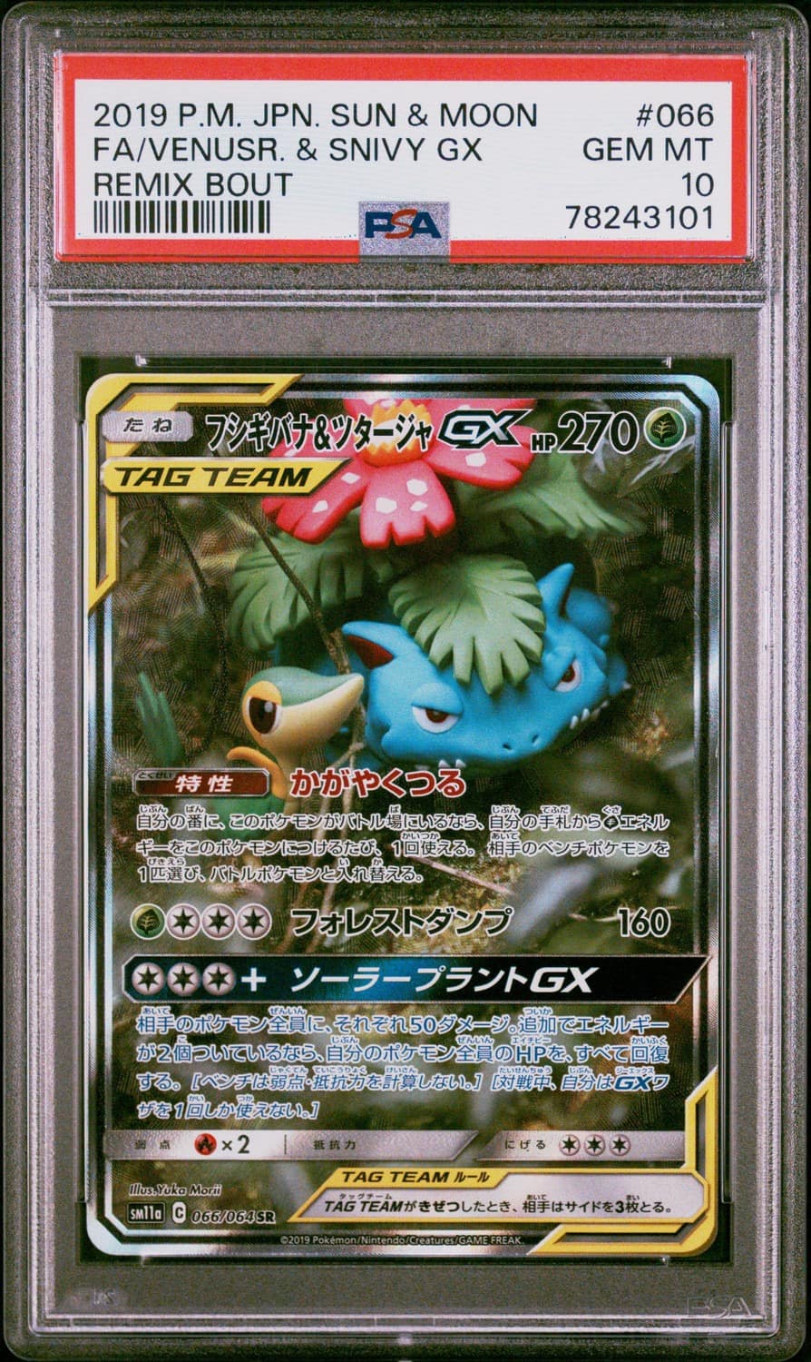 Venusaur & Snivy Gx