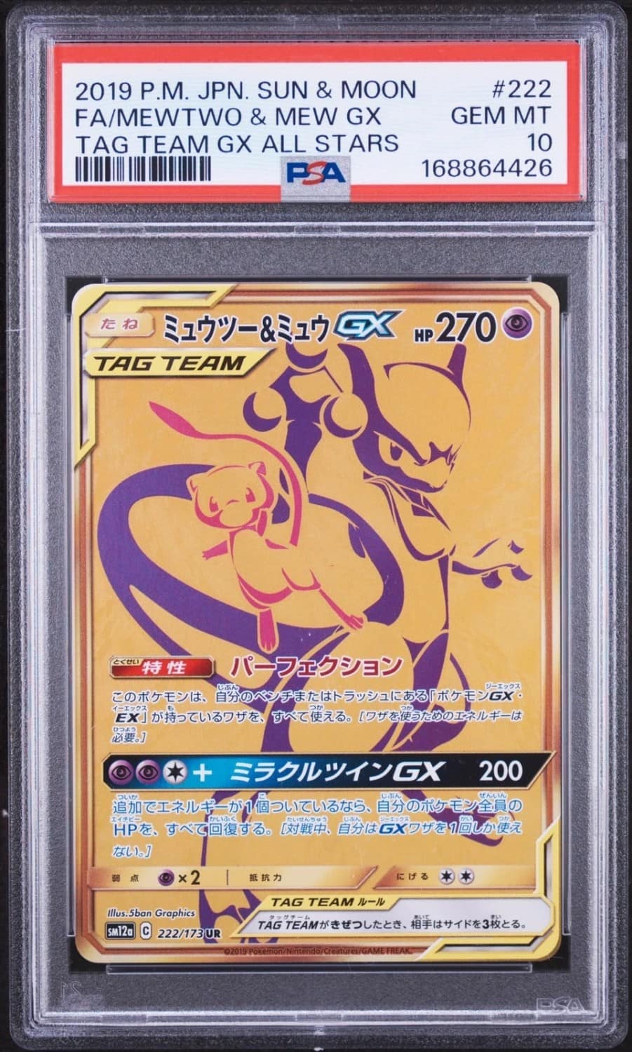 Mewtwo & Mew Gx