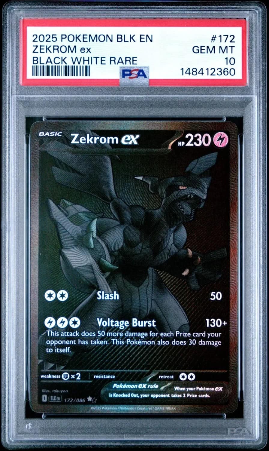 Zekrom Ex