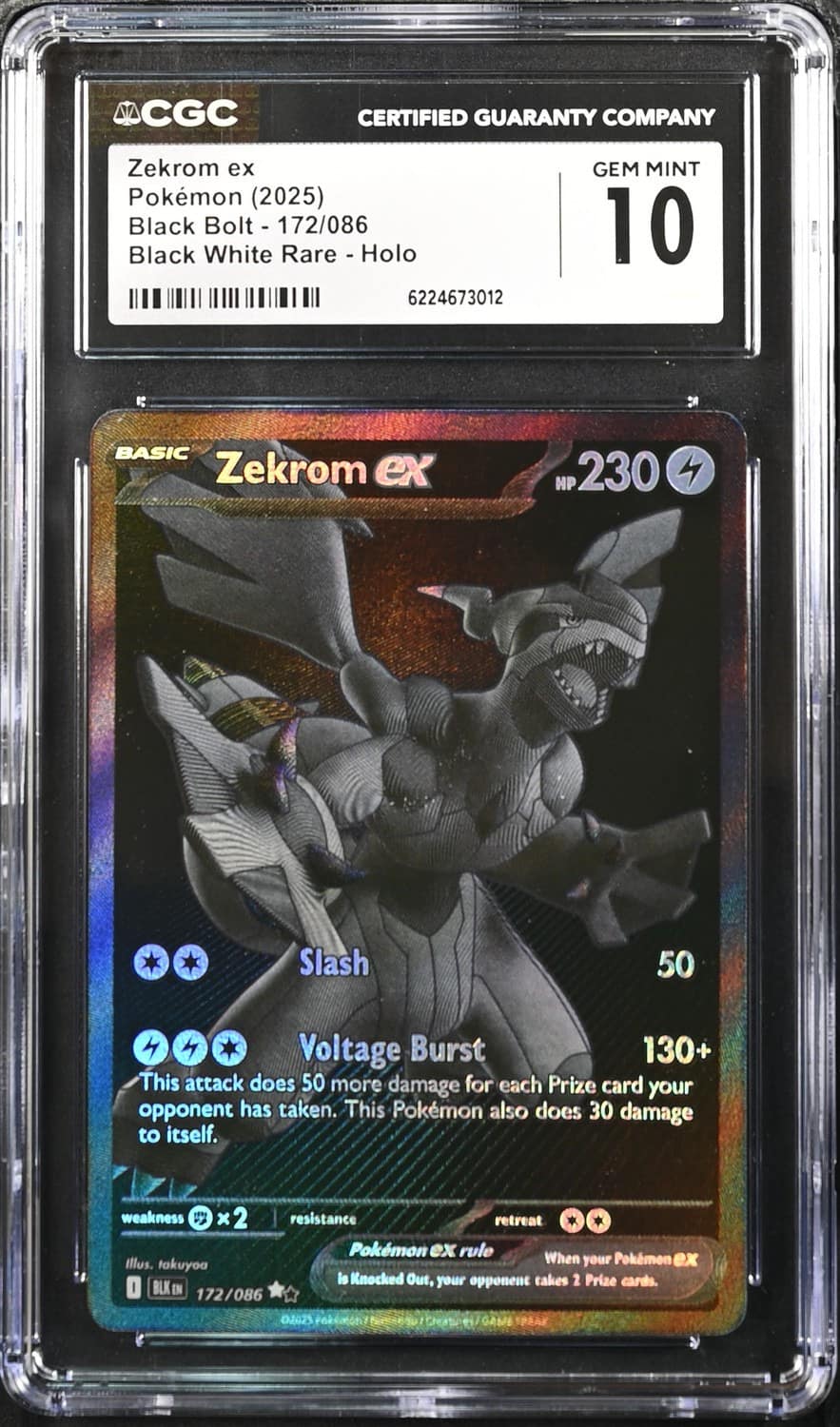 Zekrom Ex