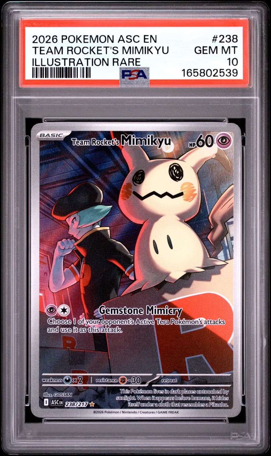 Team Rocket'S Mimikyu