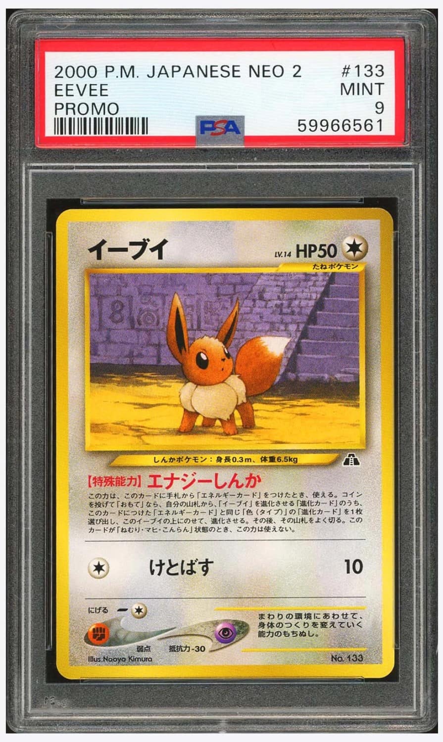 Eevee
