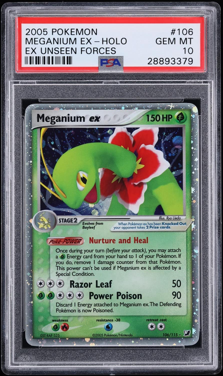 Meganium Ex