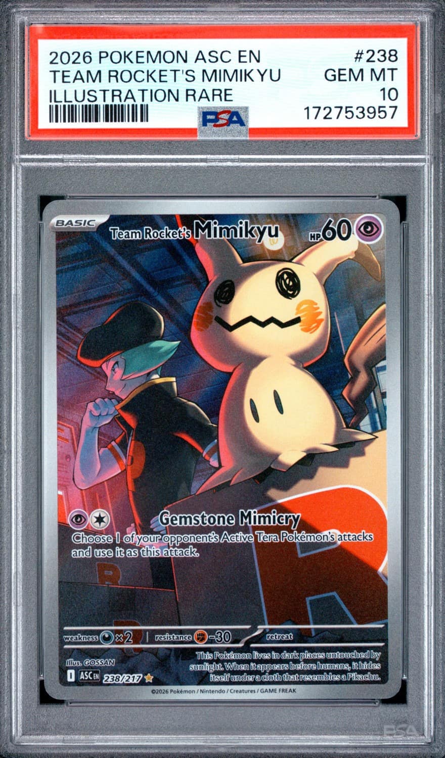 Team Rocket'S Mimikyu