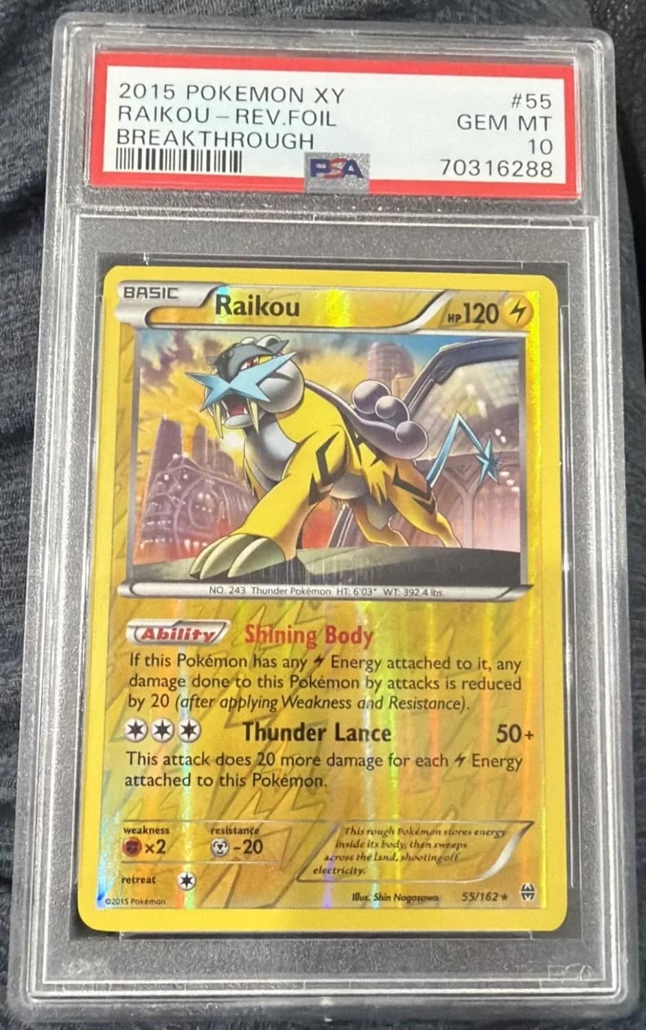 Raikou