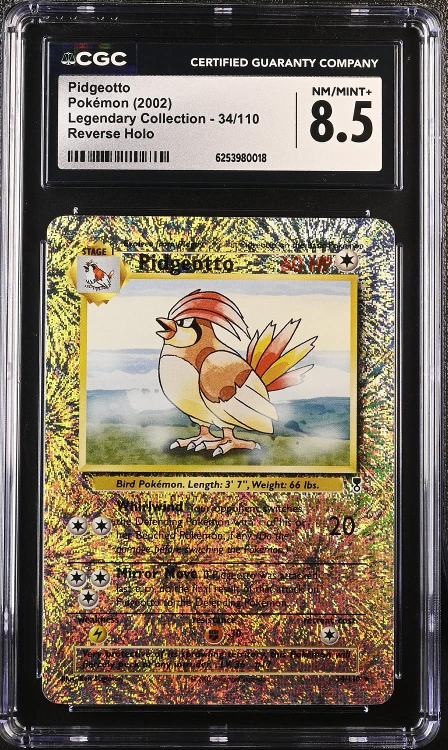 Pidgeotto