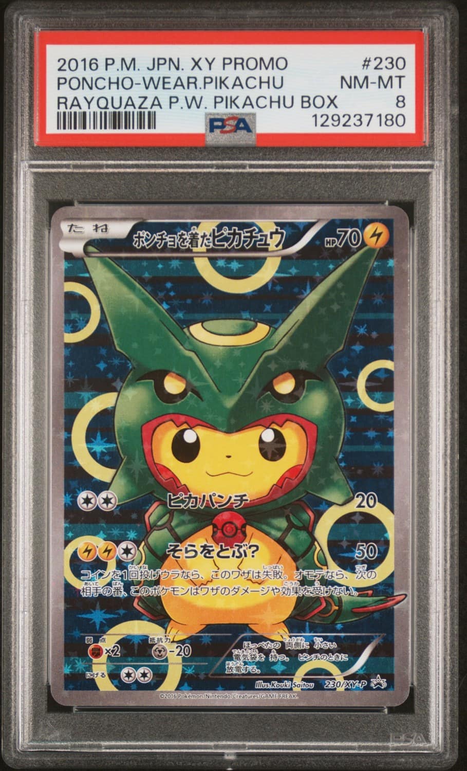 Poncho-Wearing Pikachu