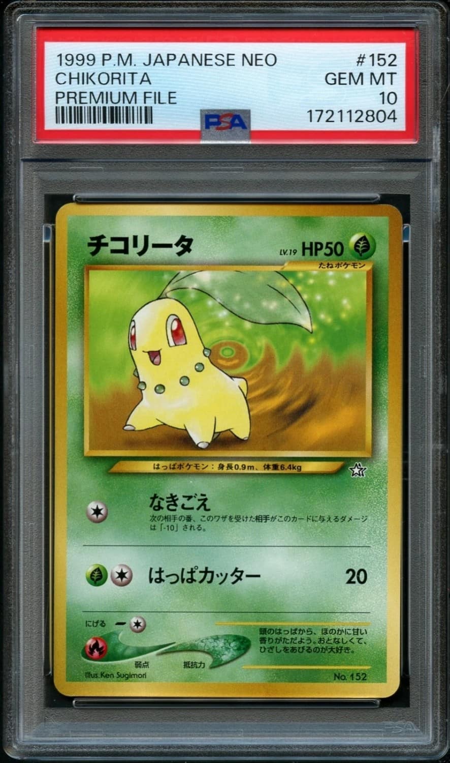Chikorita