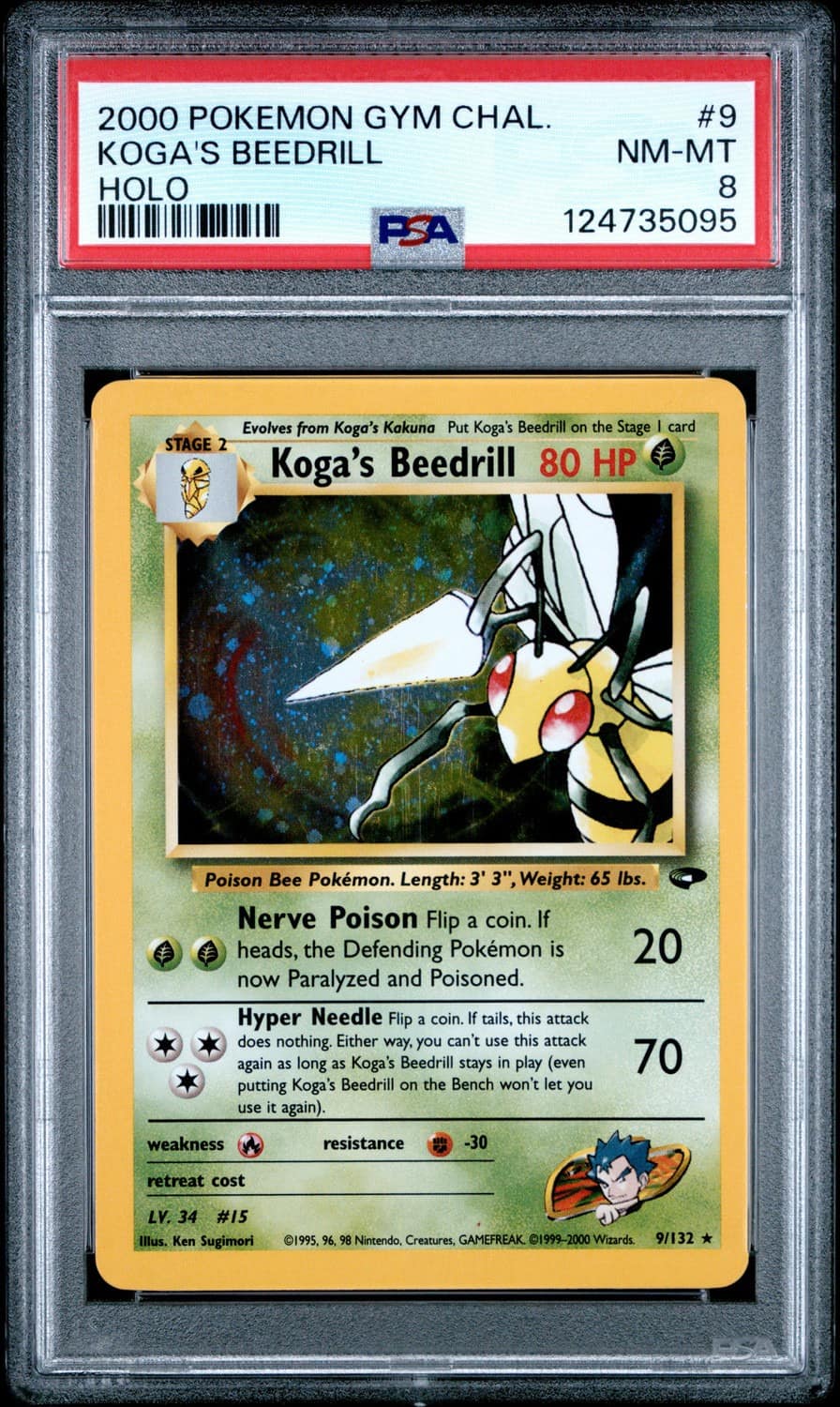 Koga'S Beedrill
