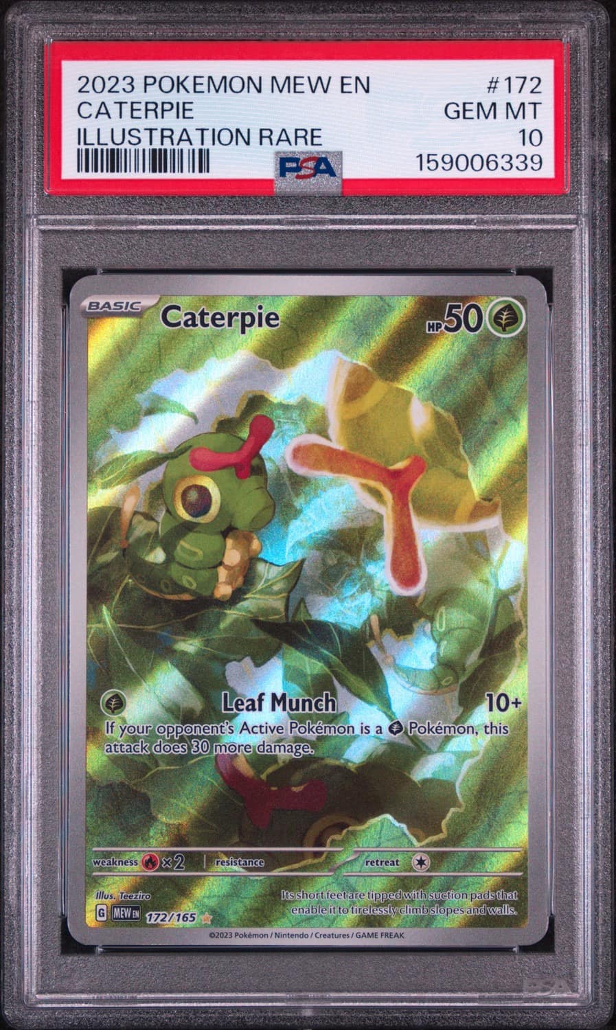 Caterpie