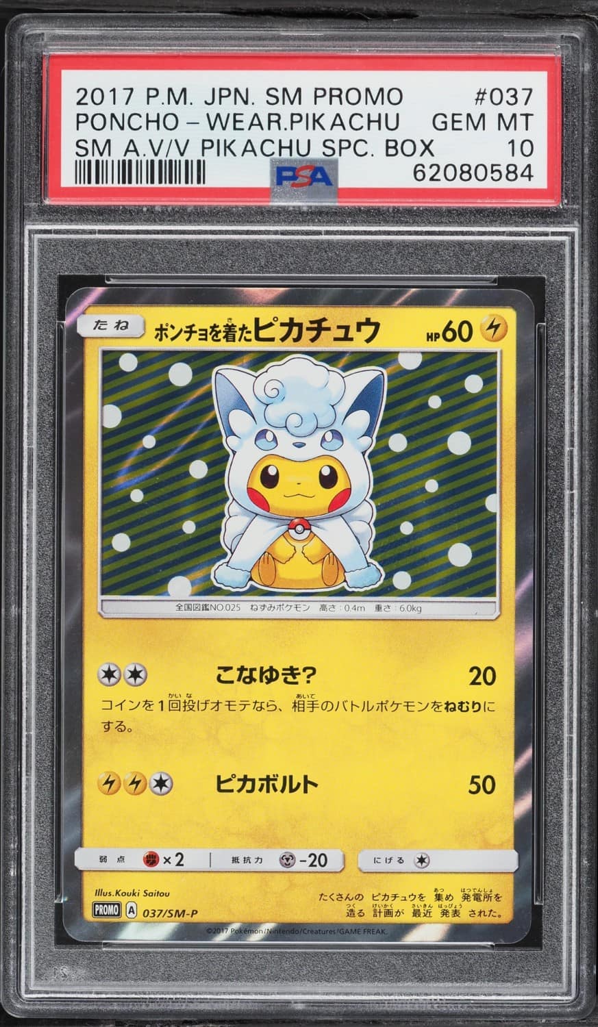Poncho-Wearing Pikachu