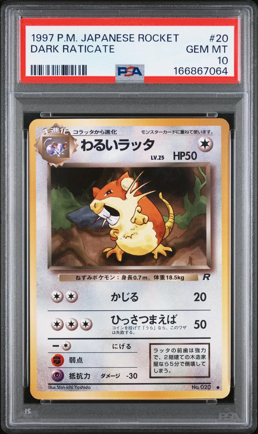 Dark Raticate