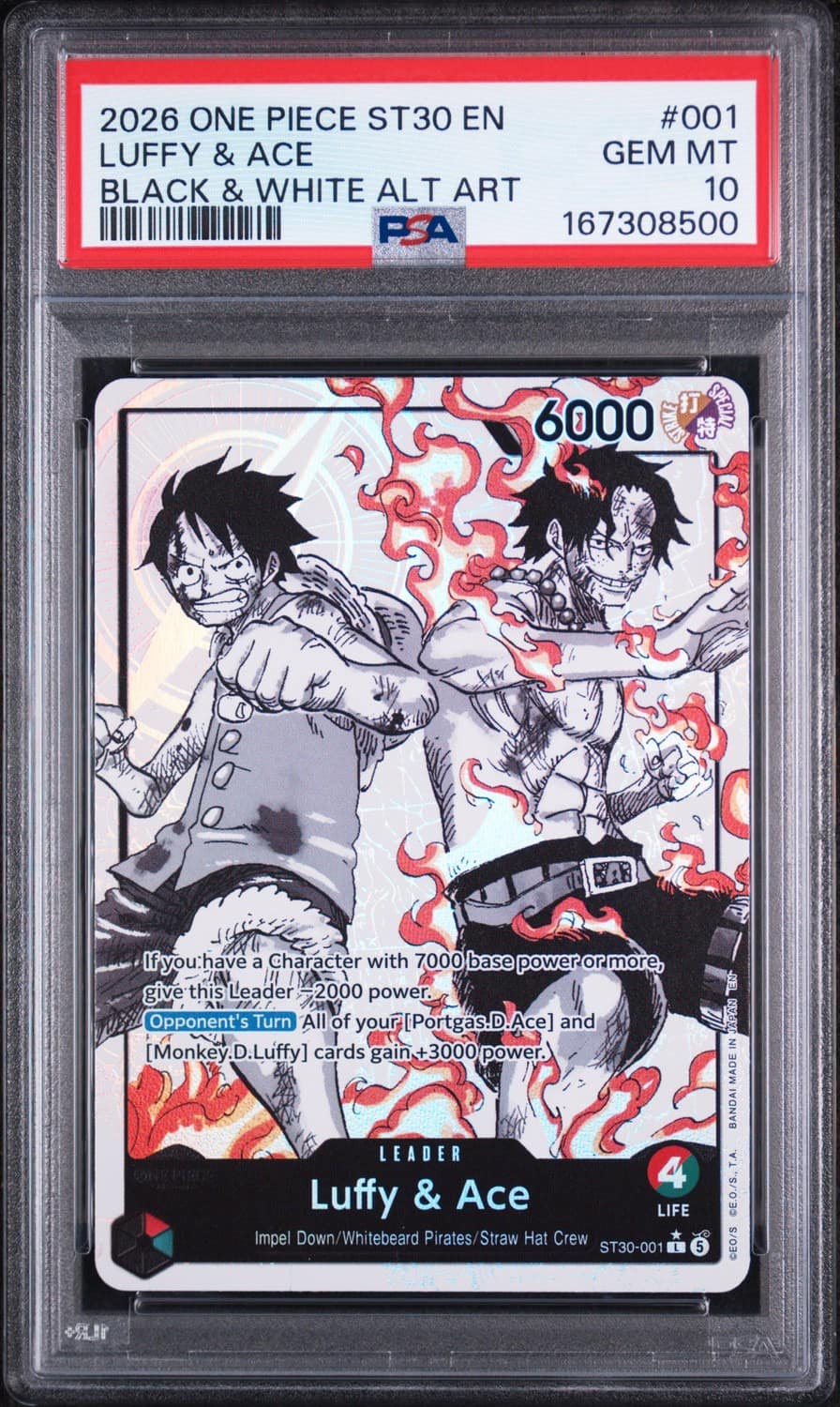 Luffy & Ace