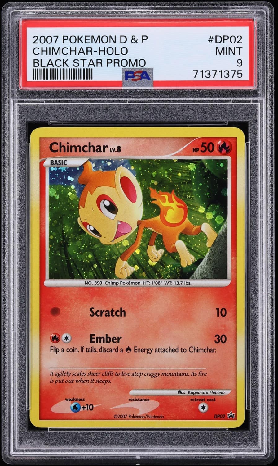 Chimchar