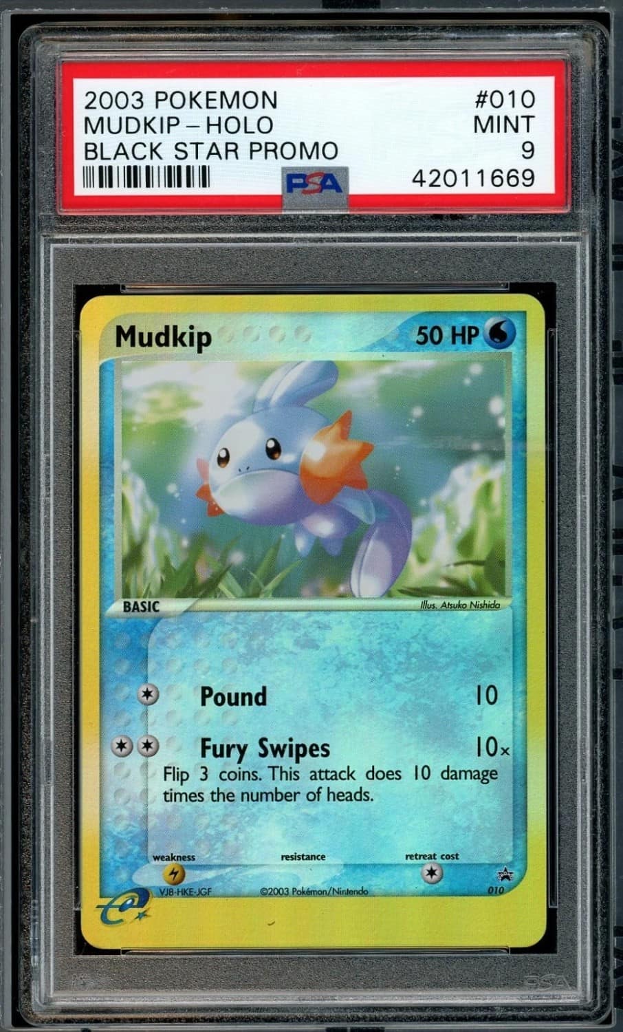 Mudkip