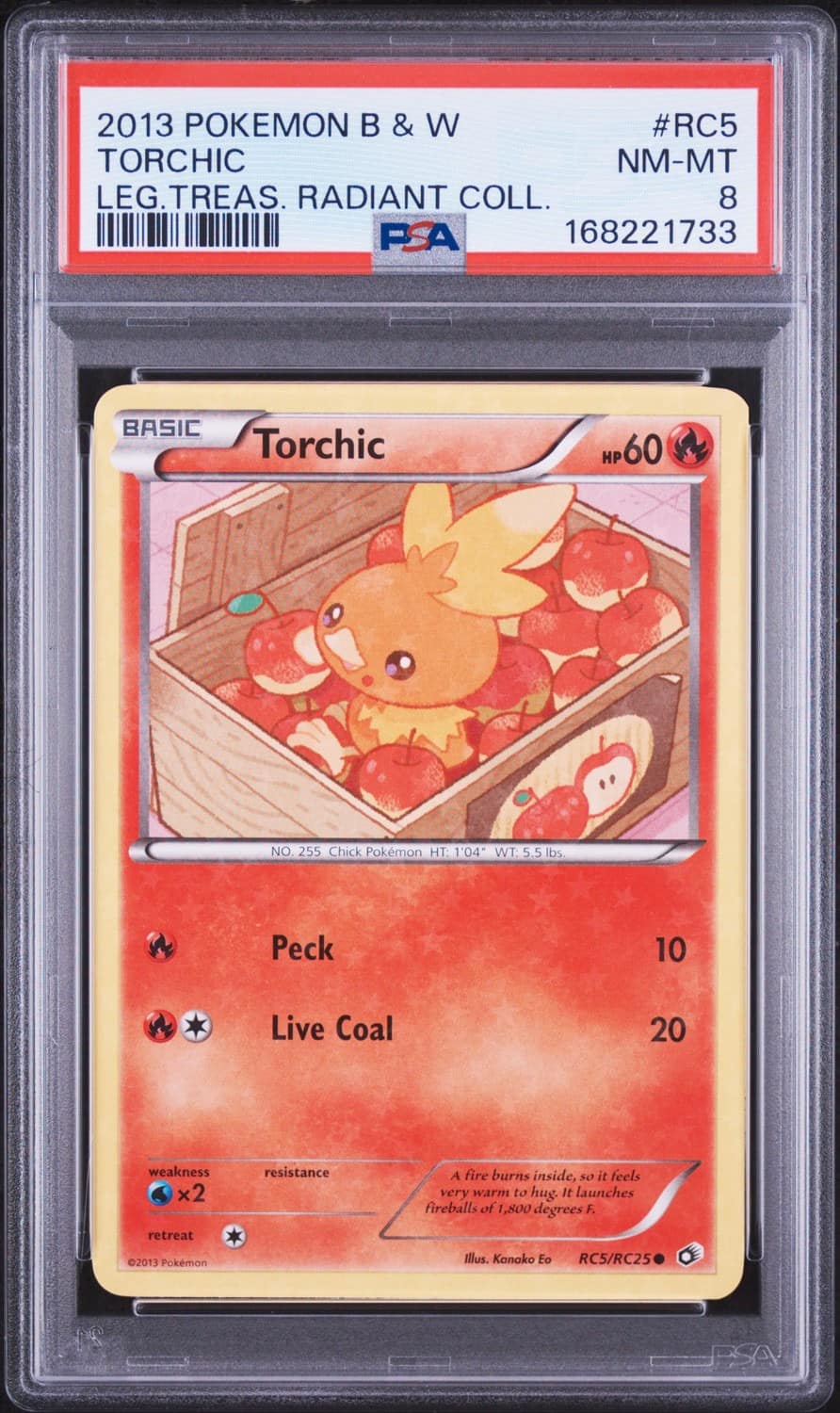 Torchic