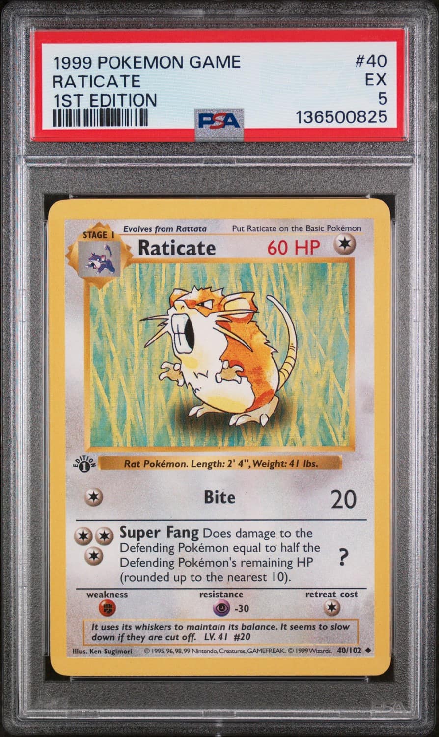 Raticate