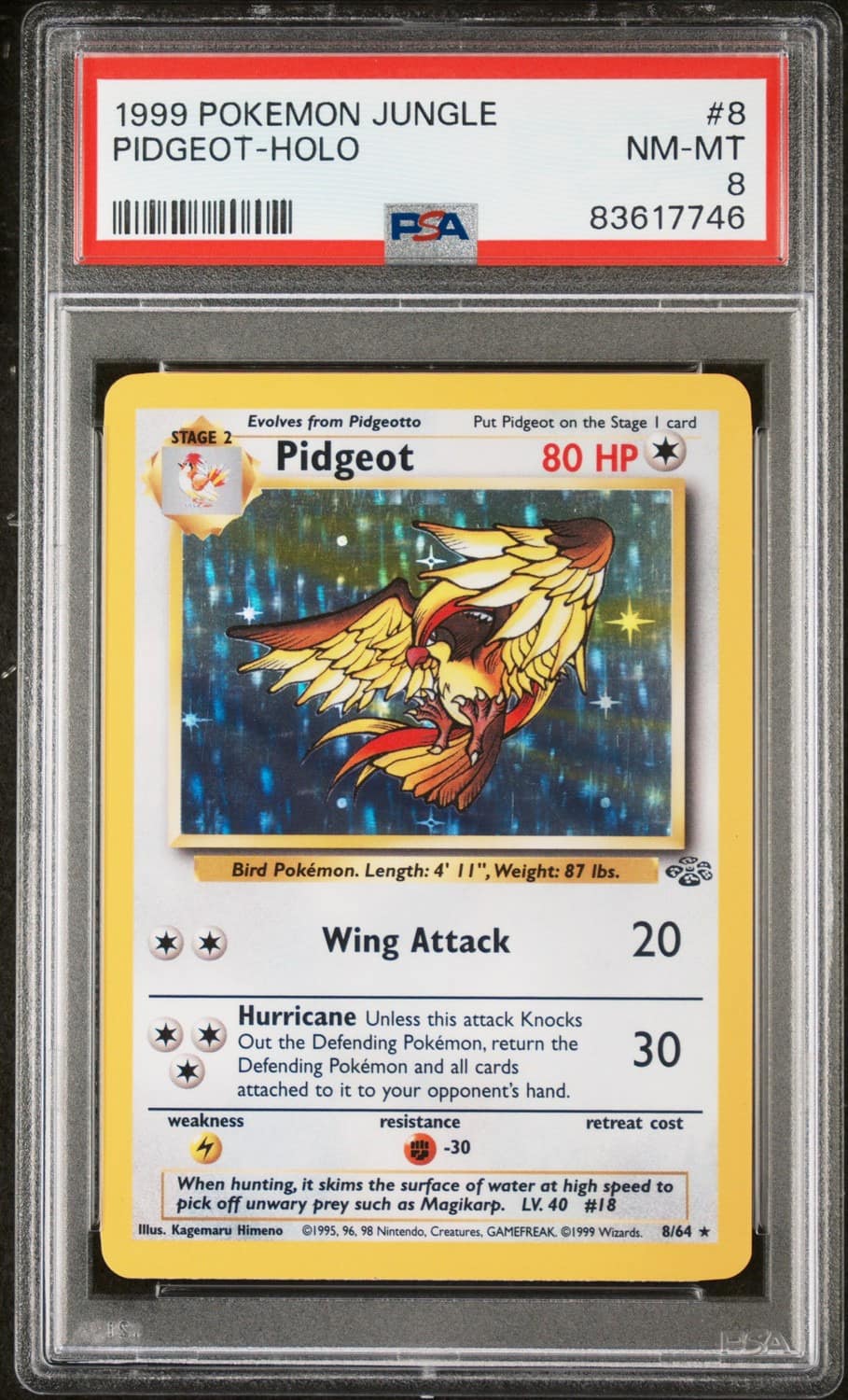 Pidgeot