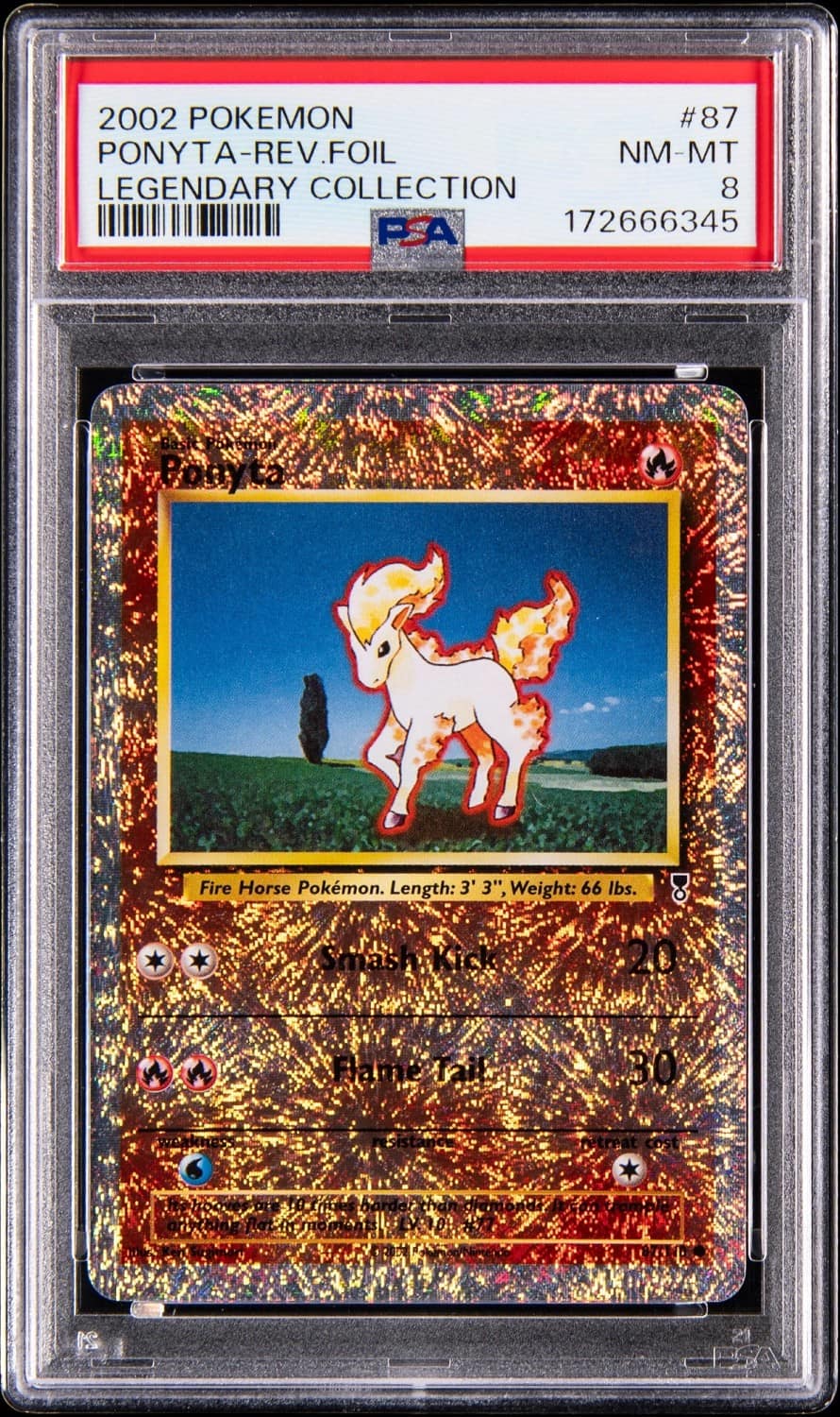 Ponyta