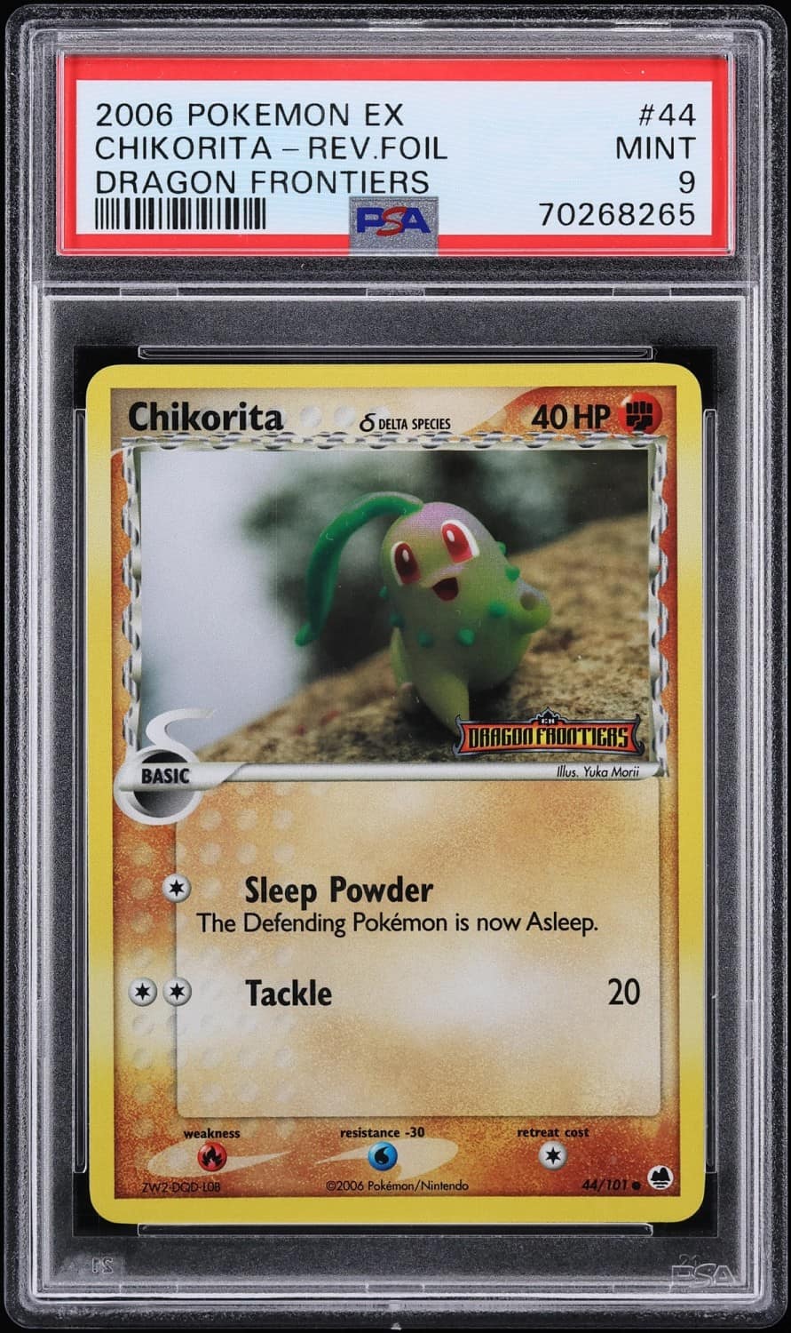 Chikorita δ