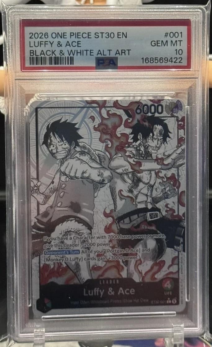 Luffy & Ace