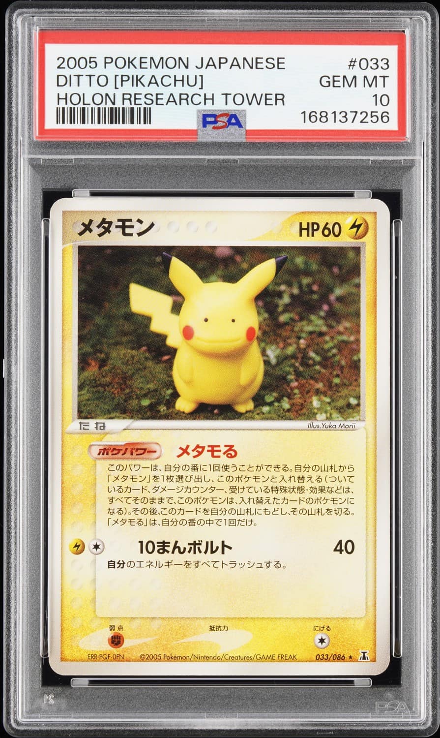 Ditto [pikachu]