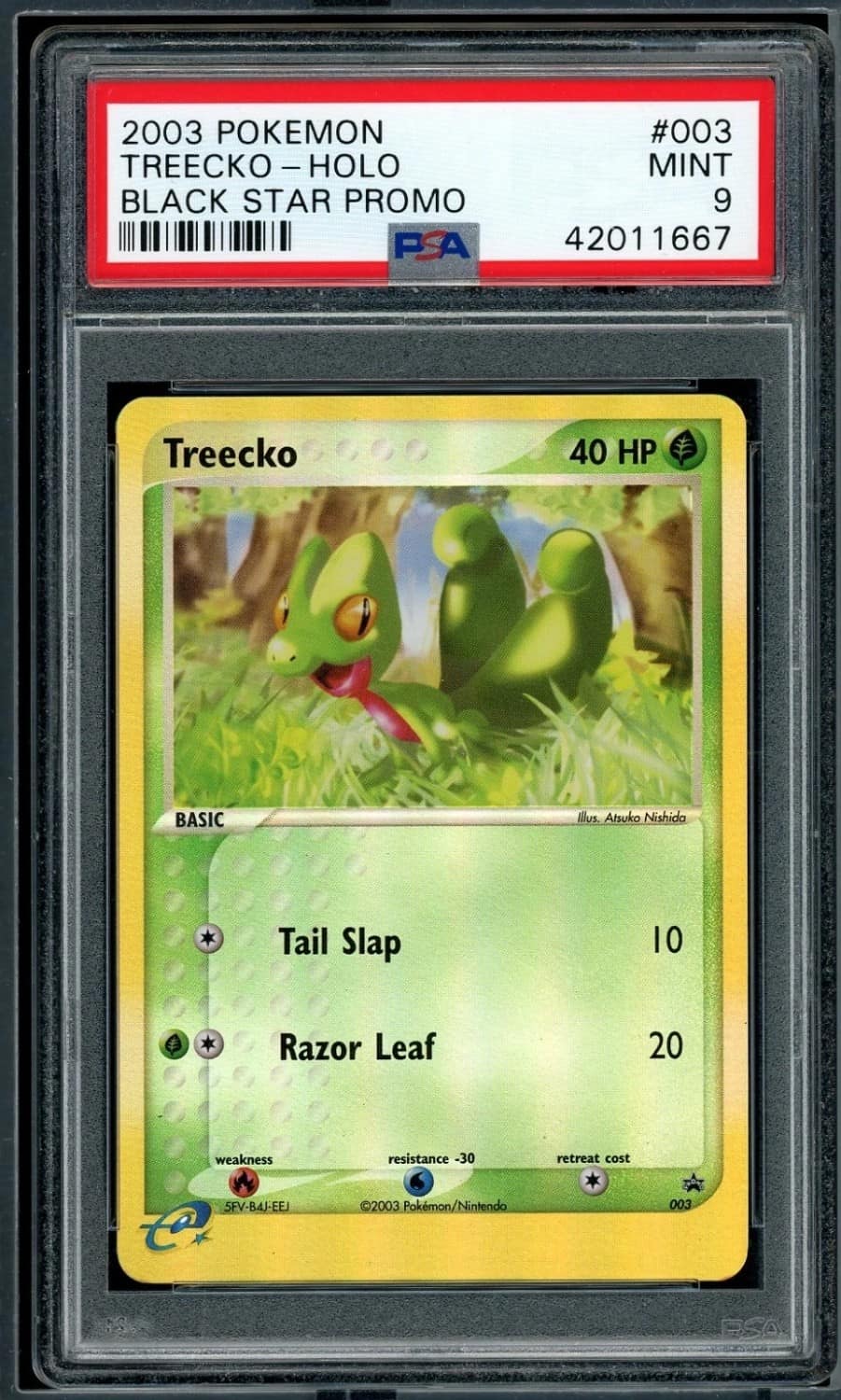 Treecko