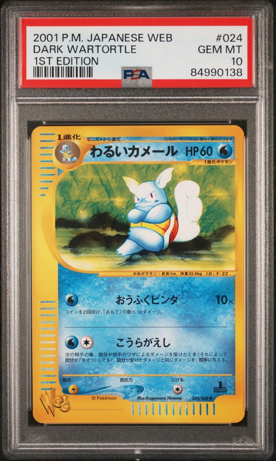 Dark Wartortle