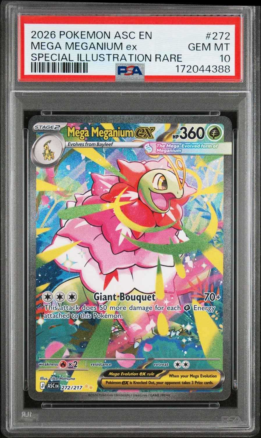 Mega Meganium Ex