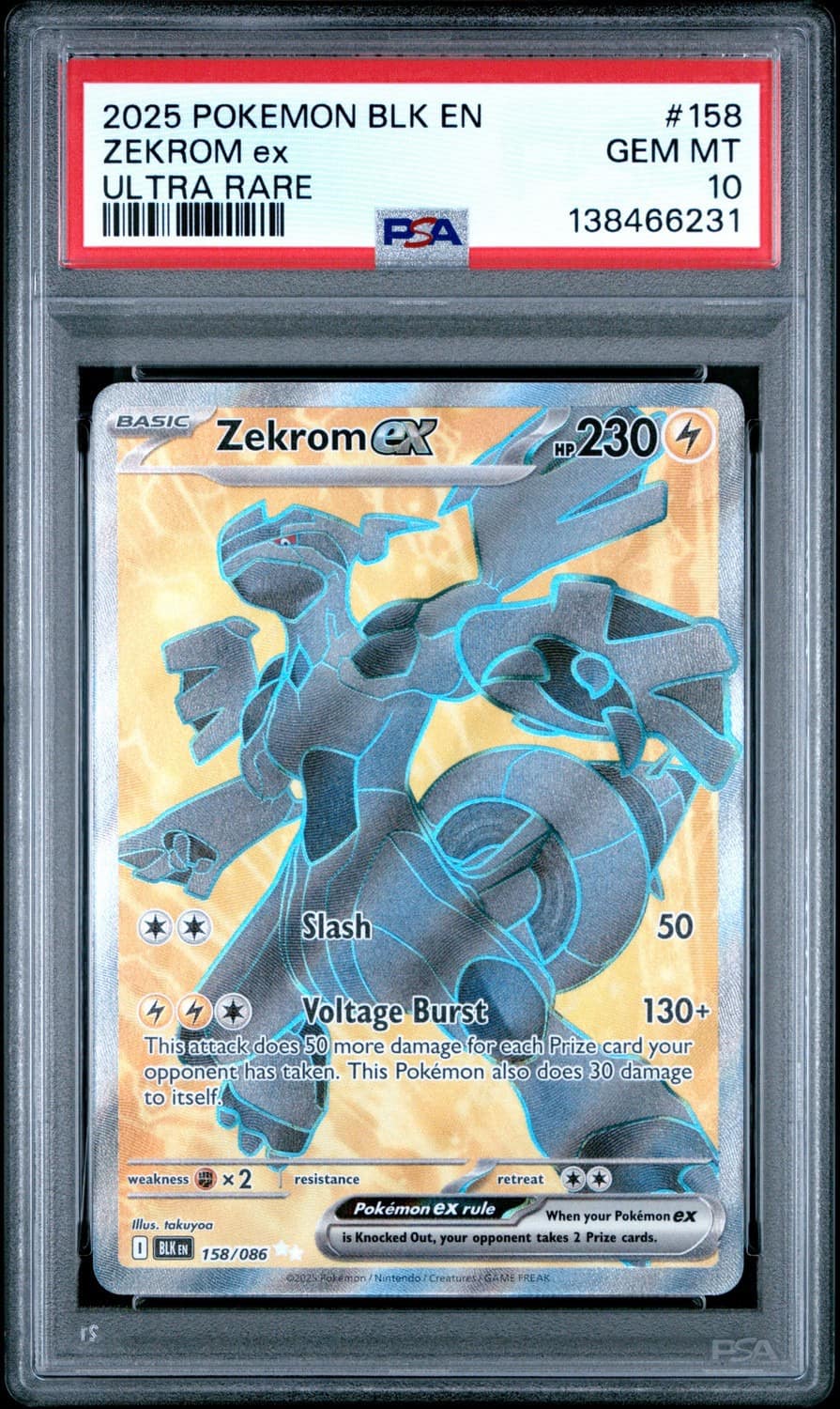 Zekrom Ex