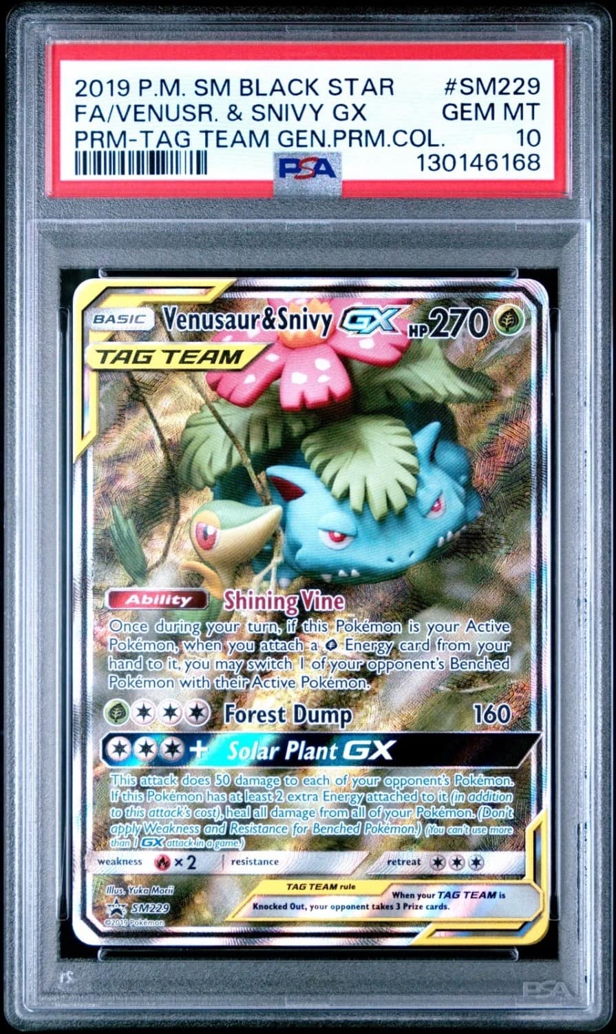 Venusaur & Snivy Gx